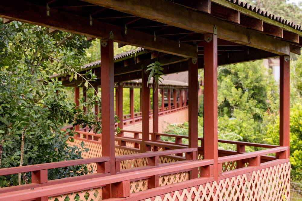 Photo of Outdoor in Honokaa