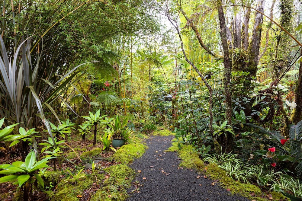 Photo of Outdoor in Royal Hawaiian Estates