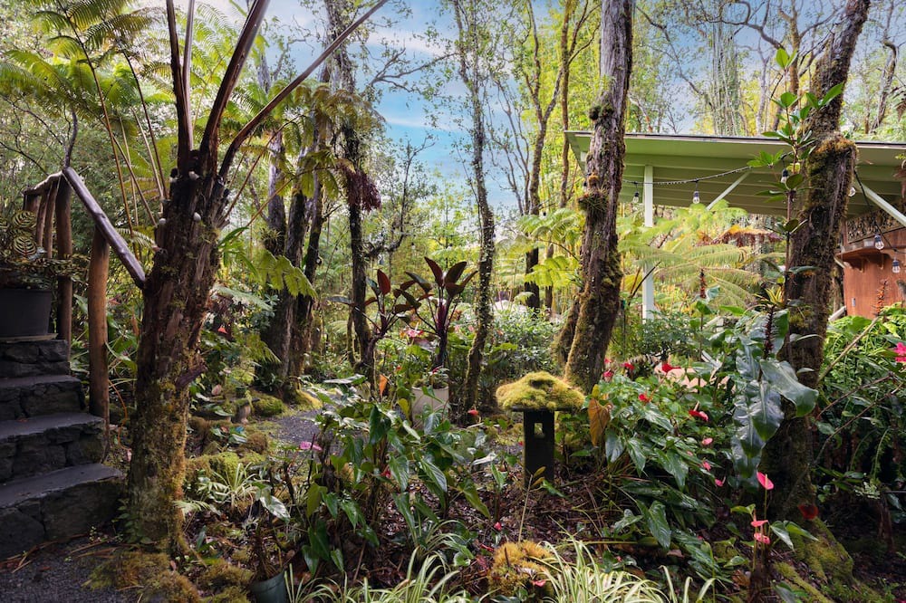 Photo of Outdoor in Royal Hawaiian Estates