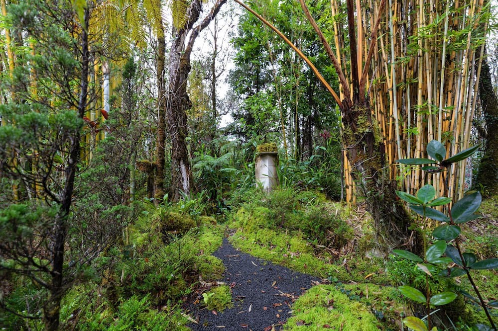 Photo of Outdoor in Royal Hawaiian Estates
