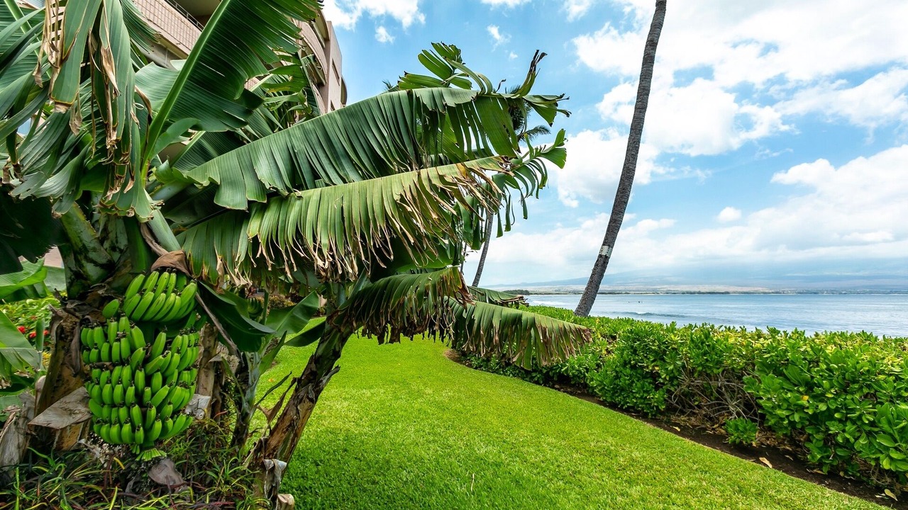 Photo of Others in Maalaea