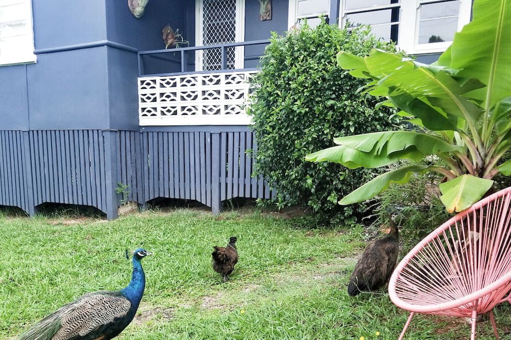 Photo of Outdoor in Nimbin