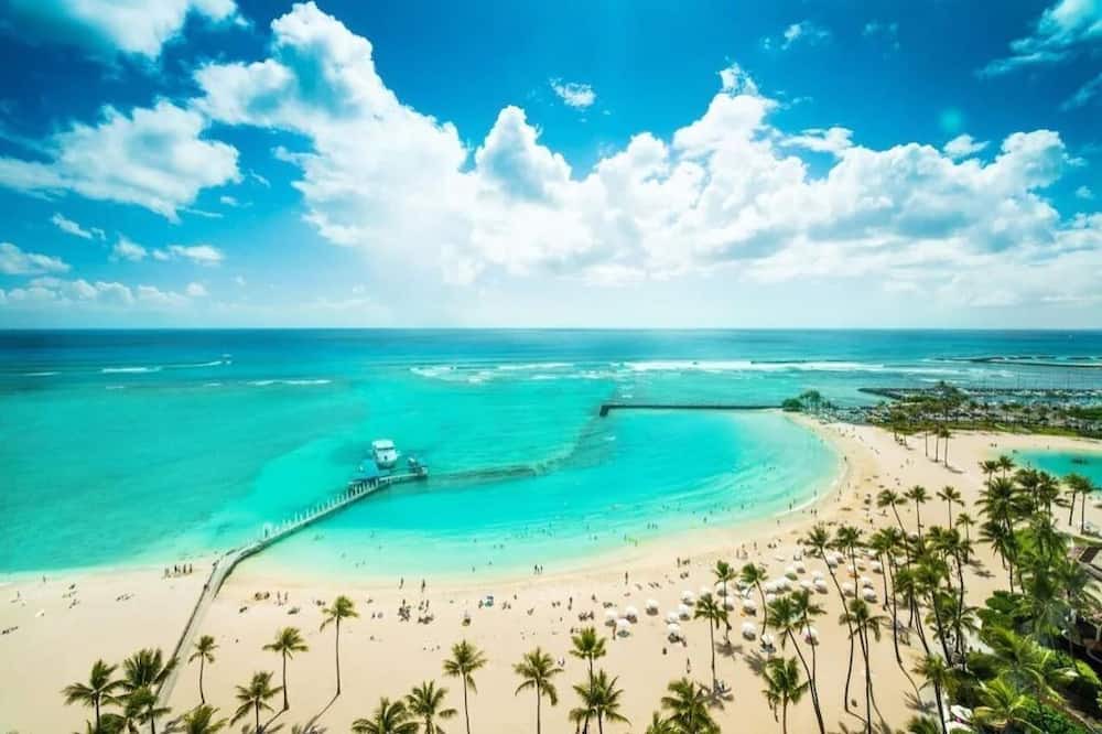 Photo of Others in Waikiki