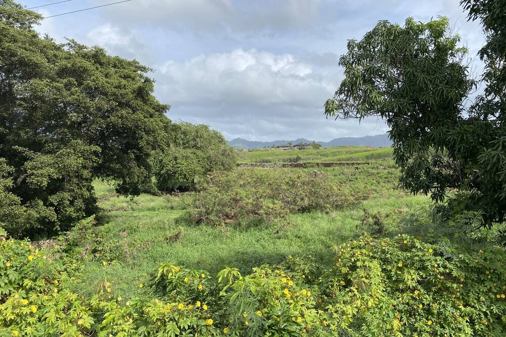 Photo of Others in Poipu
