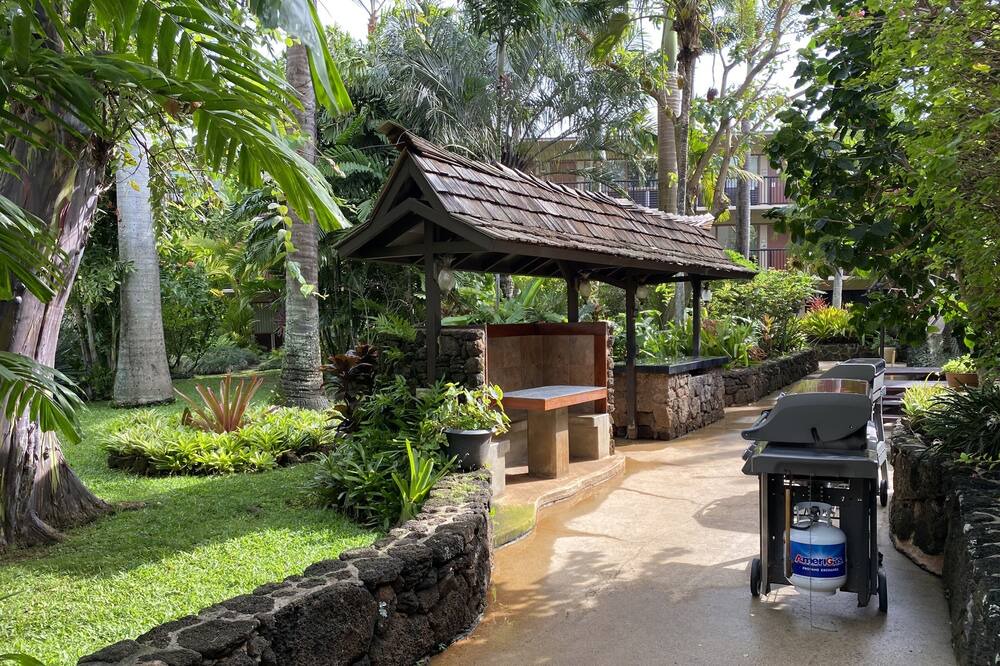Photo of Others in Poipu