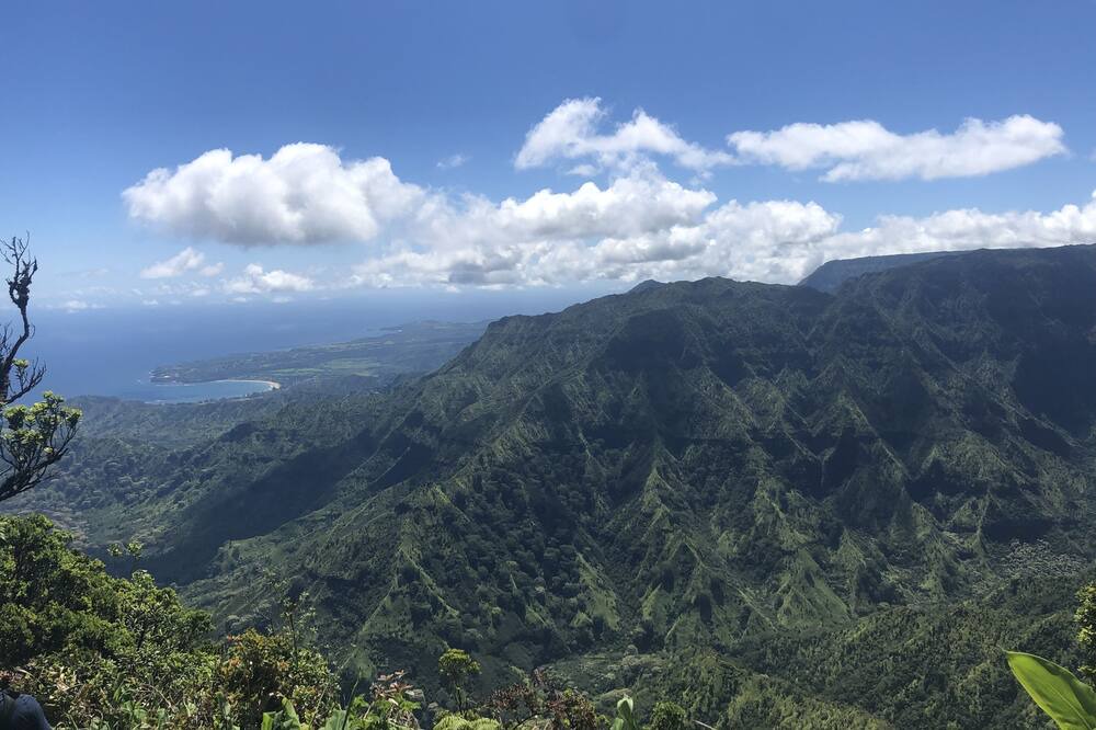 Photo of Others in Poipu