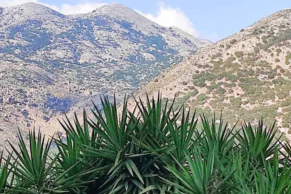 Photo of Outdoor in Vrachasi