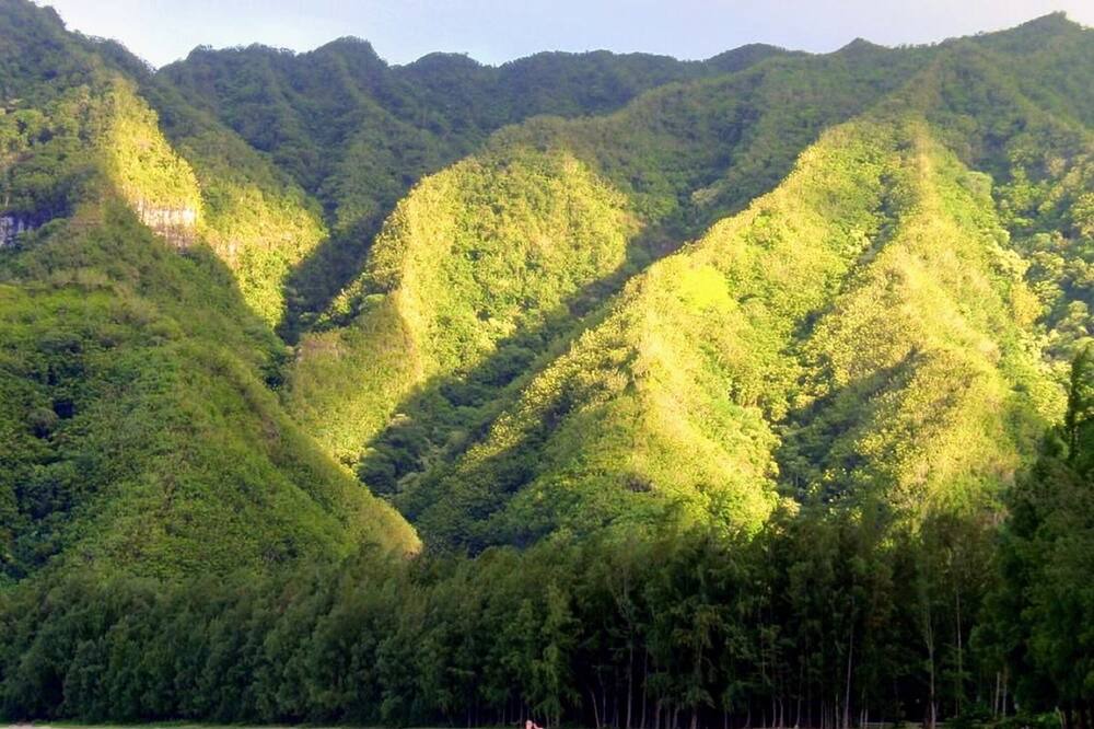 Photo of Others in Hauula