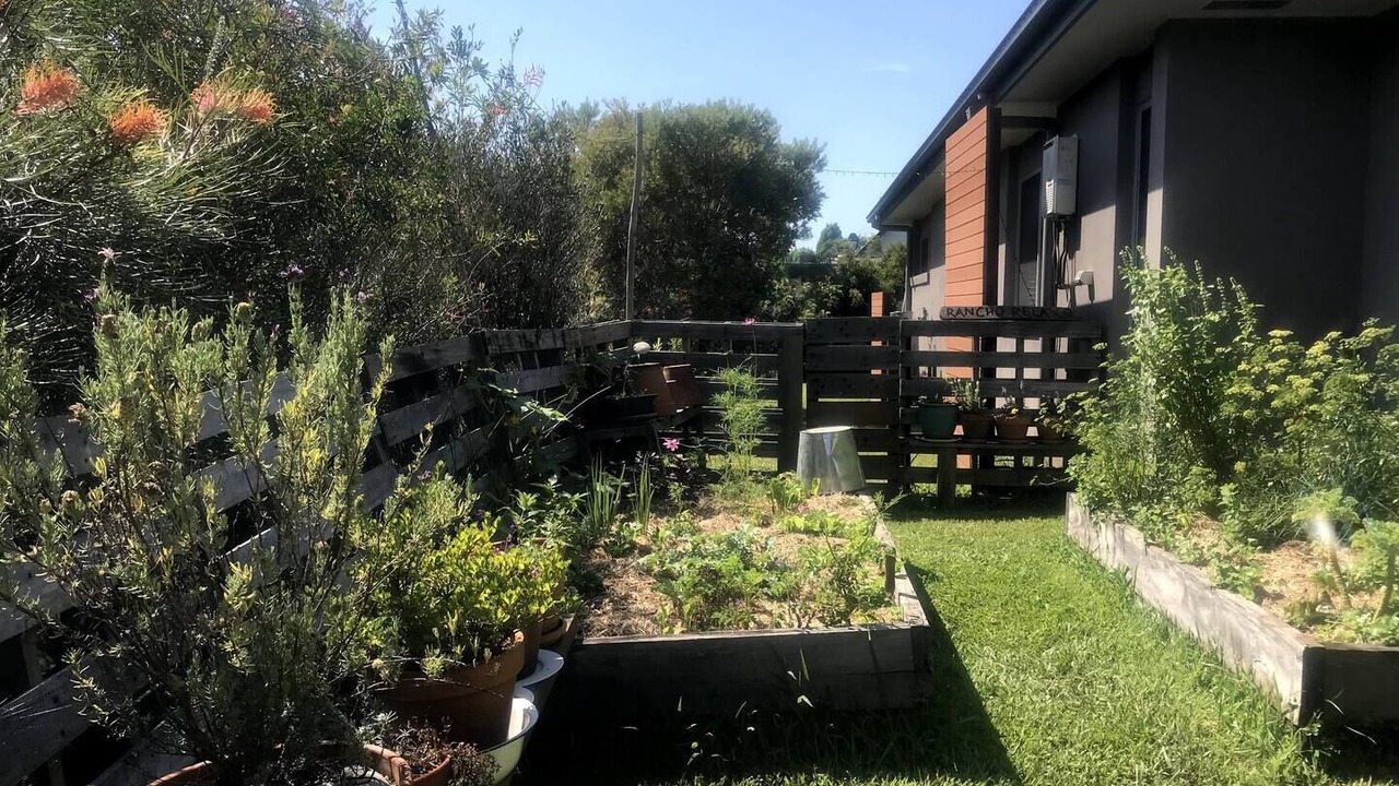 Photo of Outdoor in Mullumbimby
