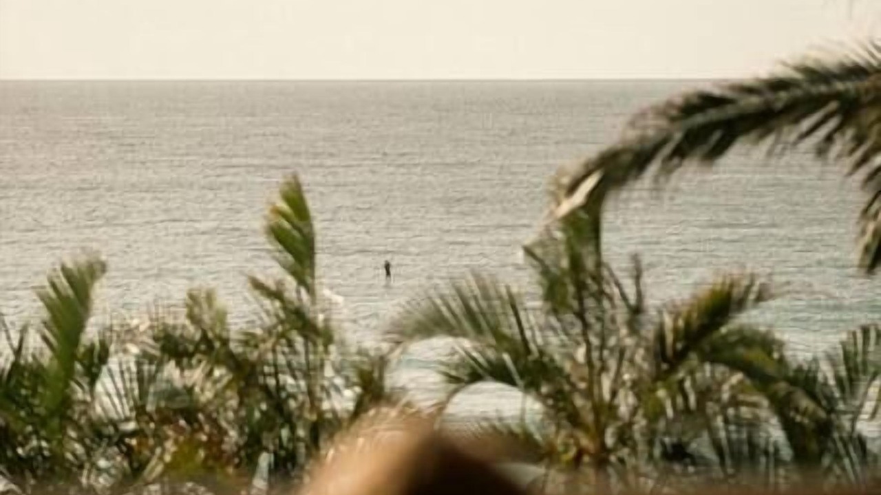 Photo of Outdoor in Currumbin