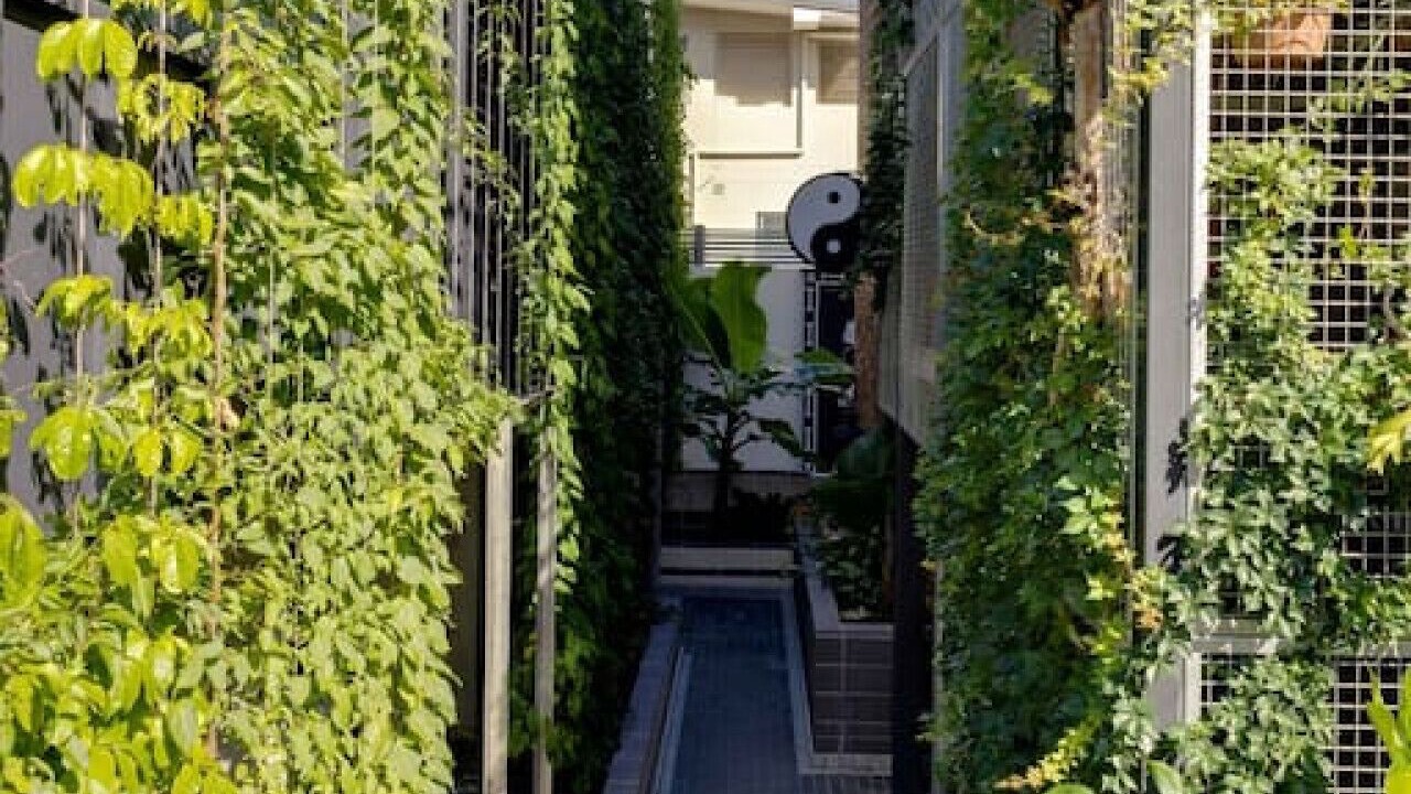 Photo of Outdoor in Highgate Hill
