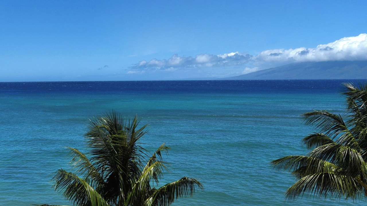 Photo of Outdoor in Kahana
