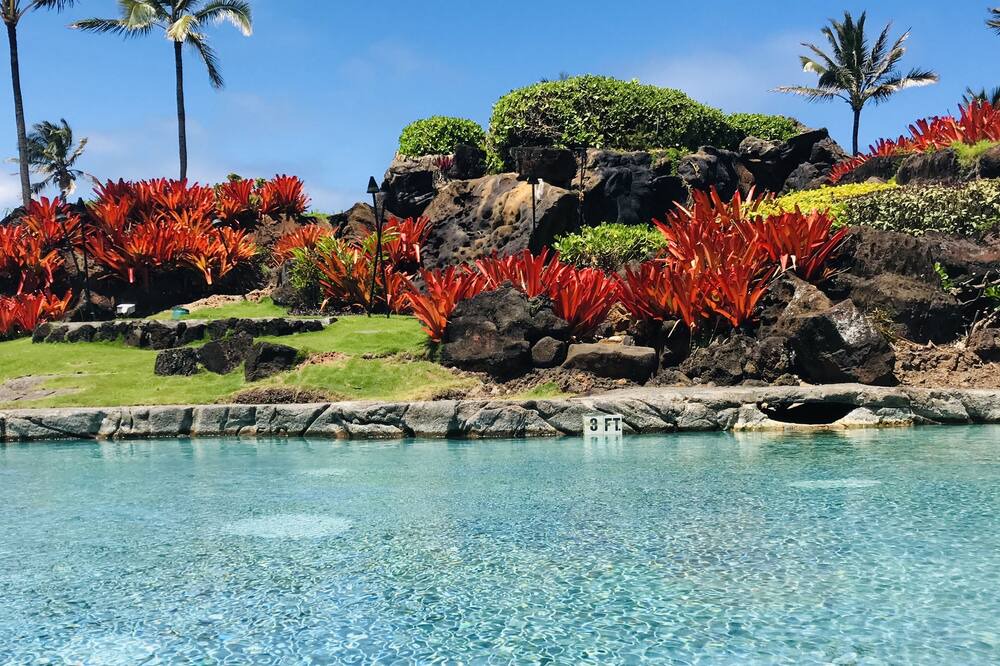 Photo of Outdoor in Hanamaulu
