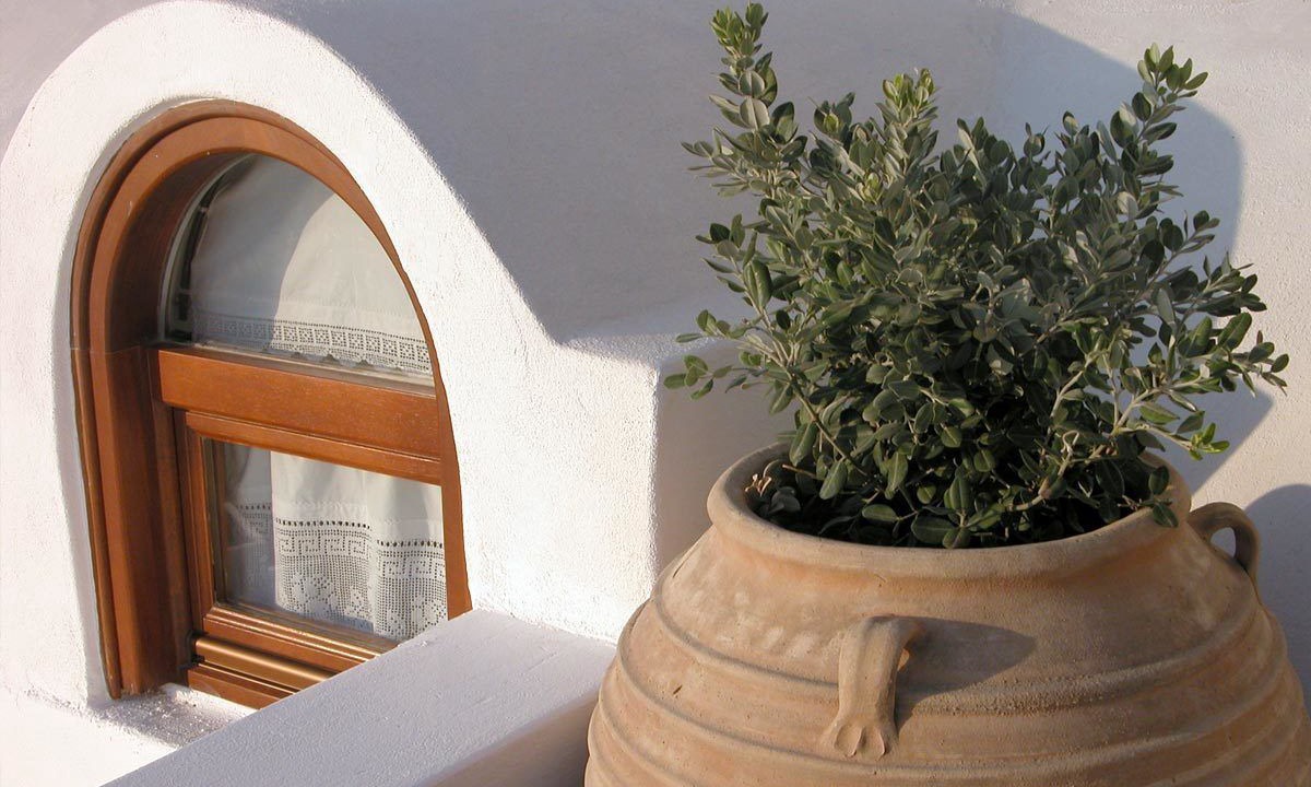 Photo of Outdoor in Firostefani