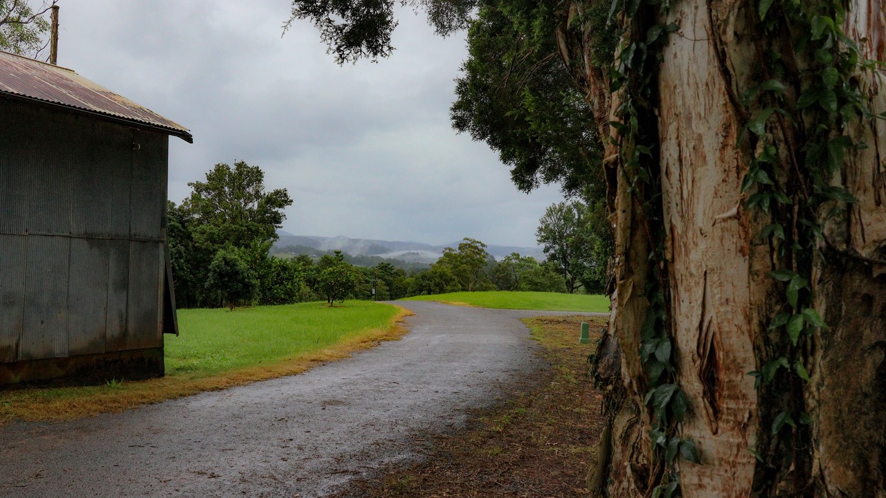 Photo of Outdoor in Eureka