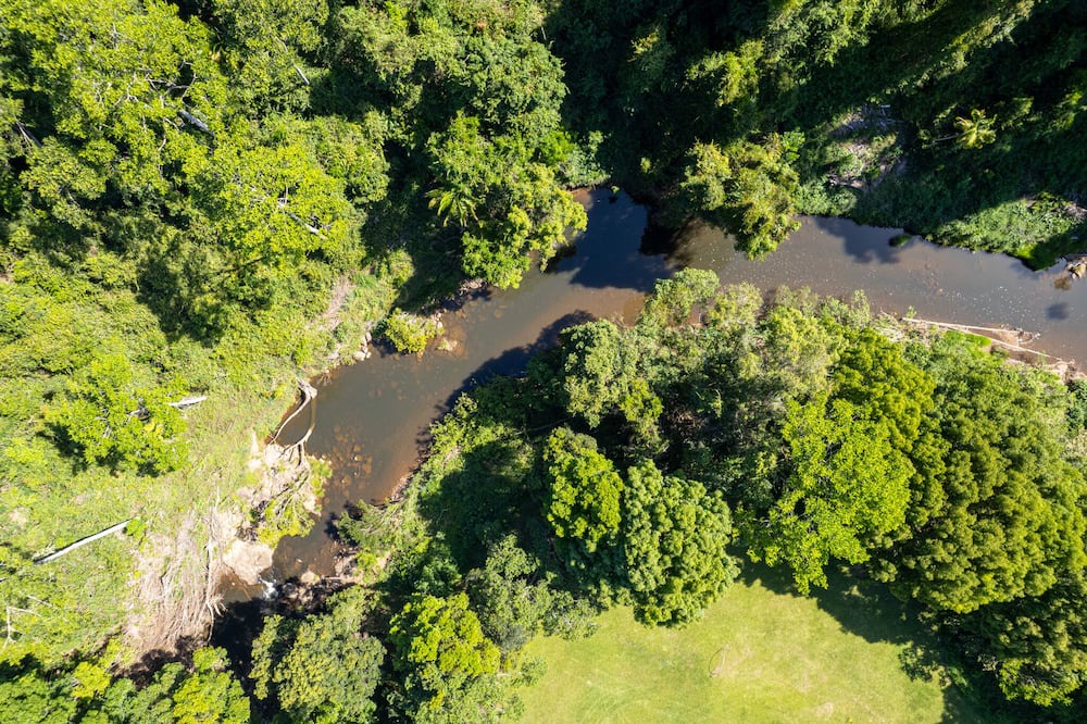 Photo of Others in Wilsons Creek