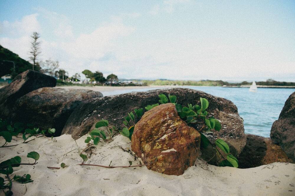 Photo of Outdoor in Currumbin