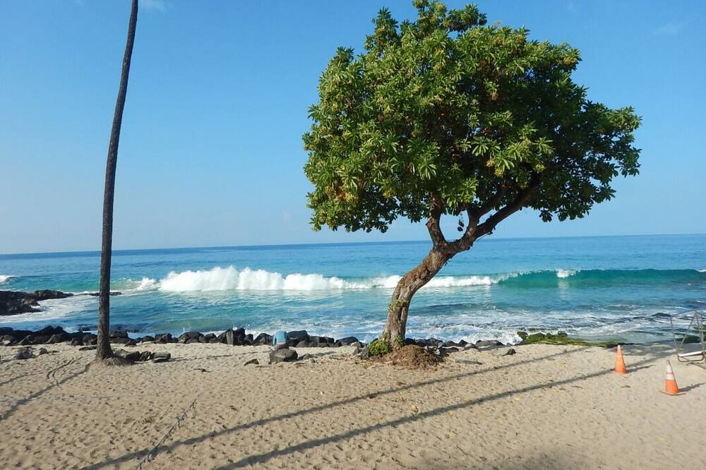 Photo of Others in Keauhou