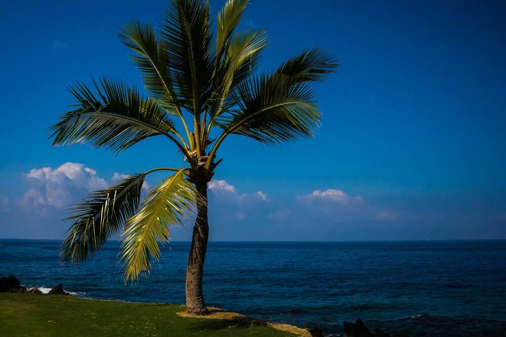 Photo of Others in Keauhou