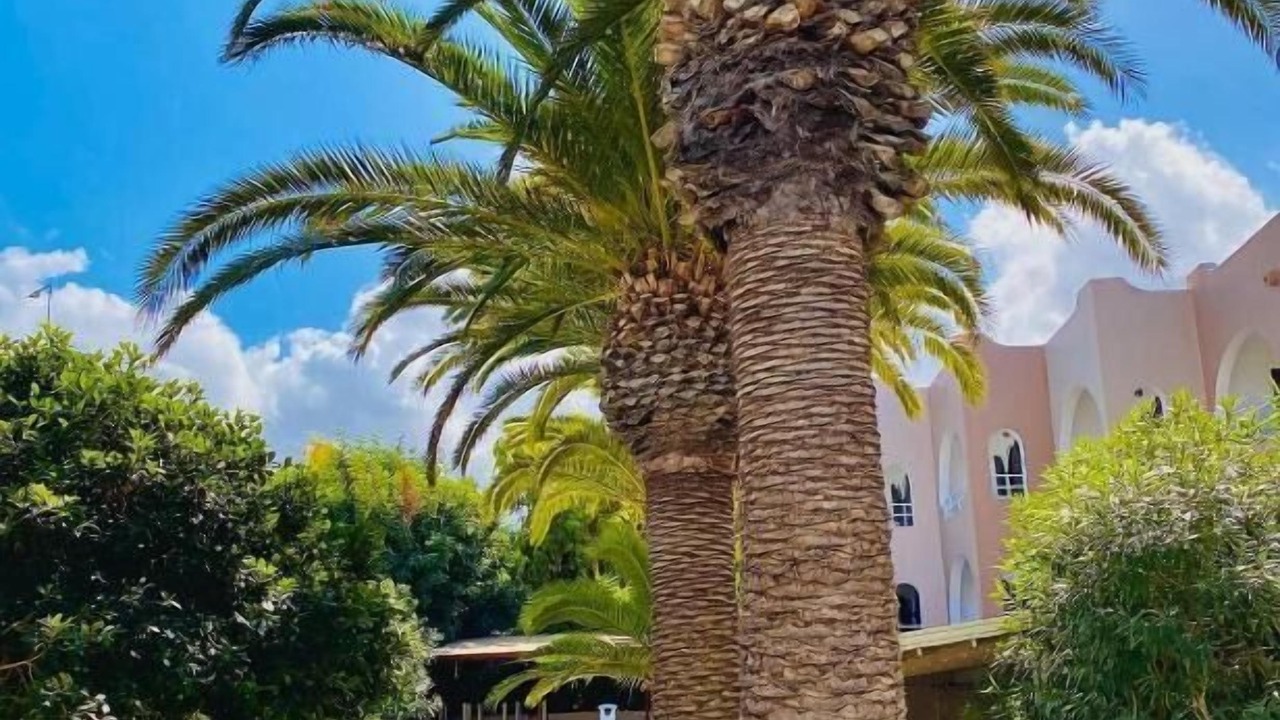 Photo of Outdoor in Karteros
