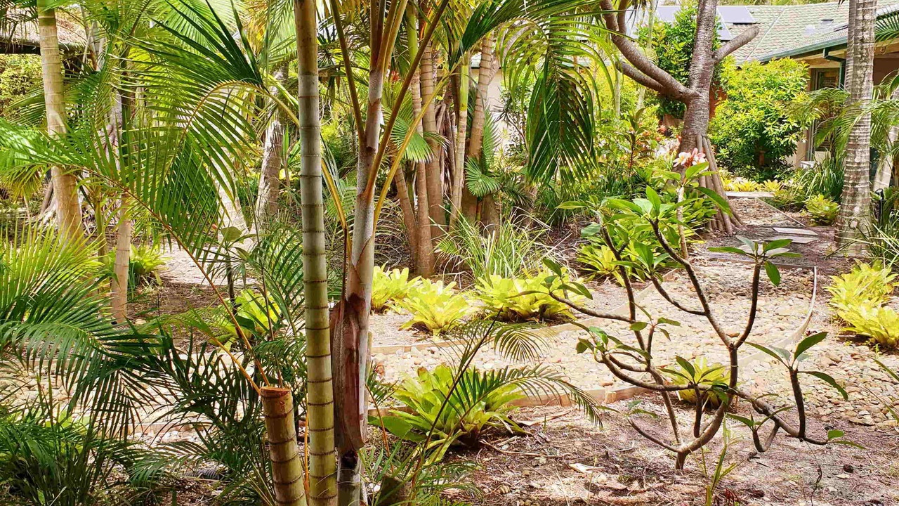 Photo of Outdoor in East Ballina