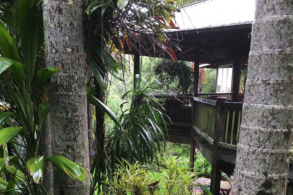 Photo of Outdoor in Coorabell
