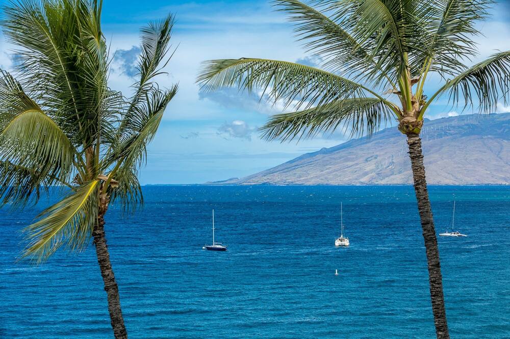 Photo of Outdoor in Kihei