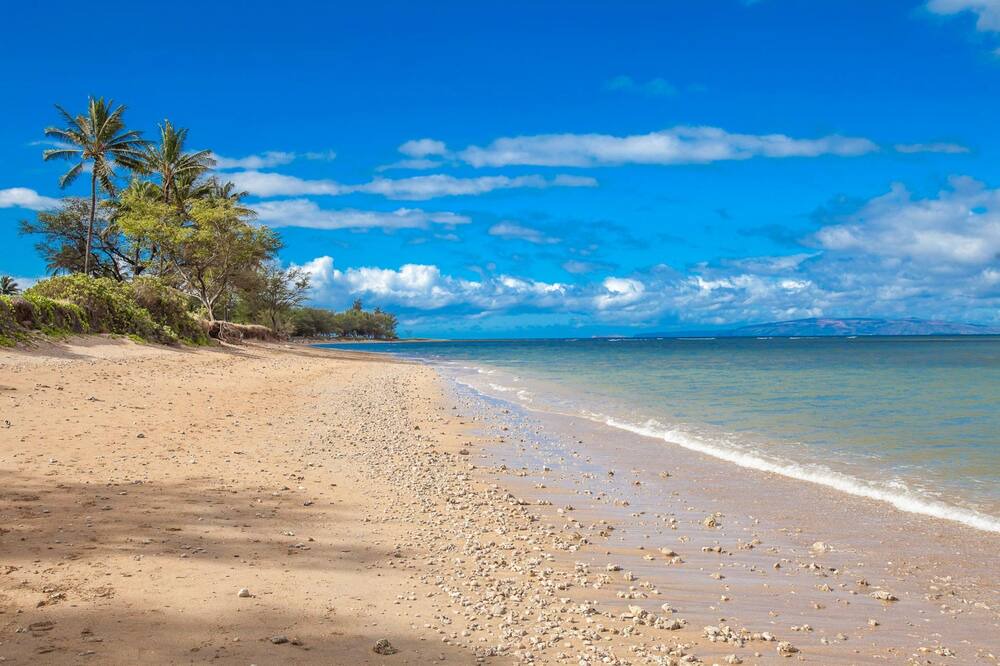 Photo of Outdoor in Kihei
