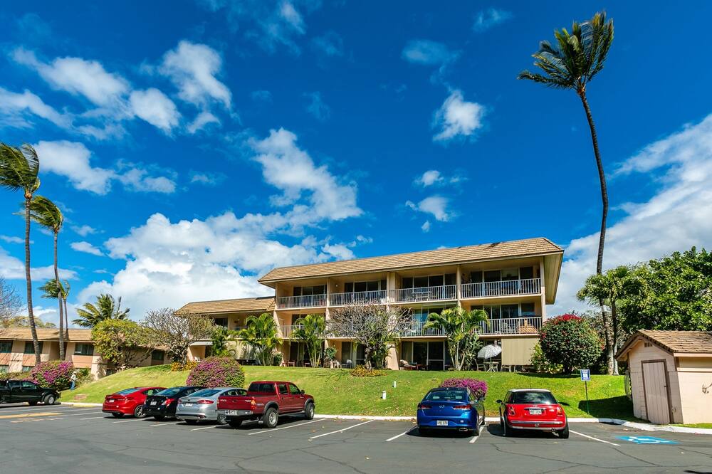 Photo of Outdoor in Kihei