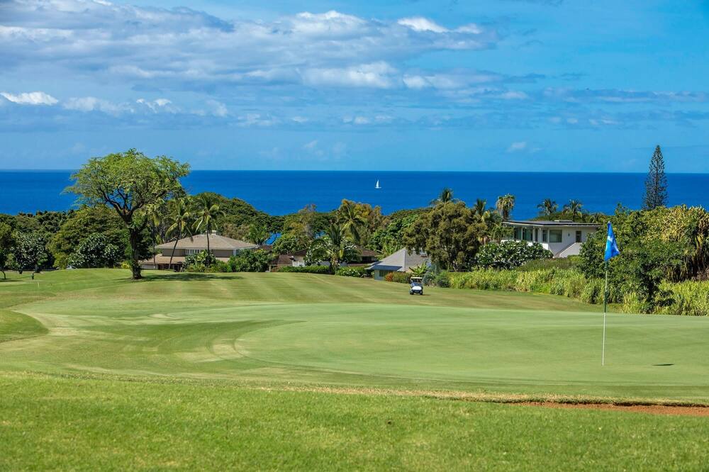 Photo of Others in Wailea