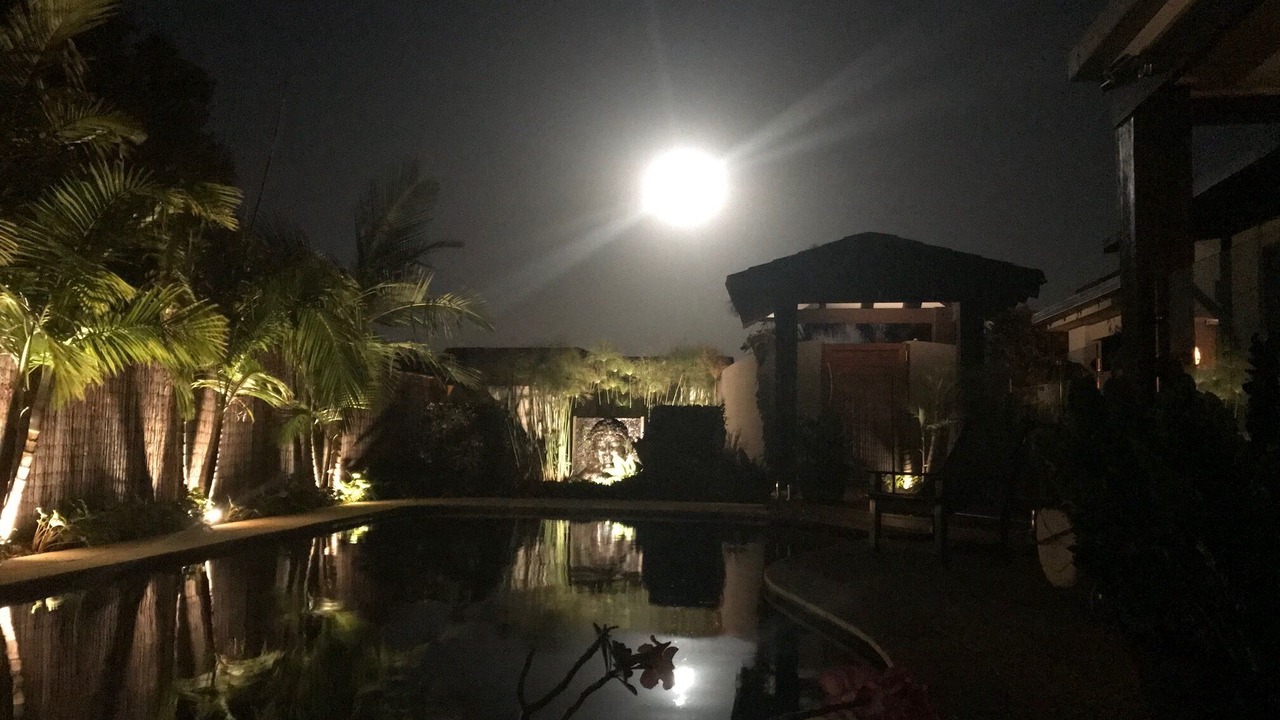 Photo of Outdoor in Paradise Point