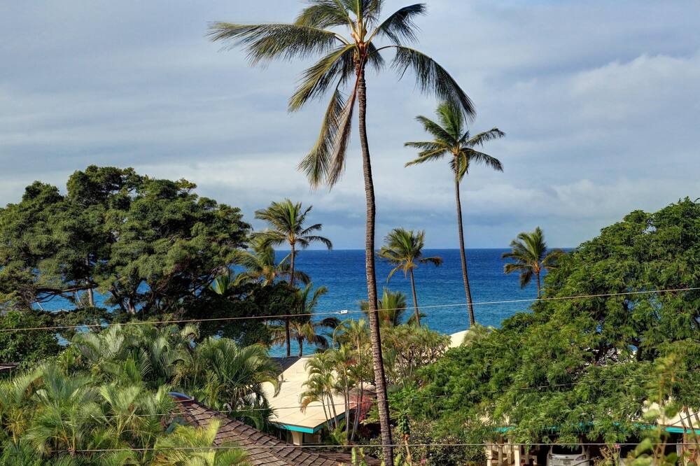 Photo of Others in Wailea