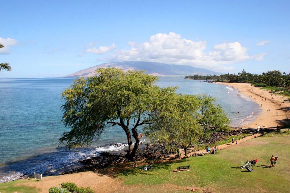 Photo of Outdoor in Kihei