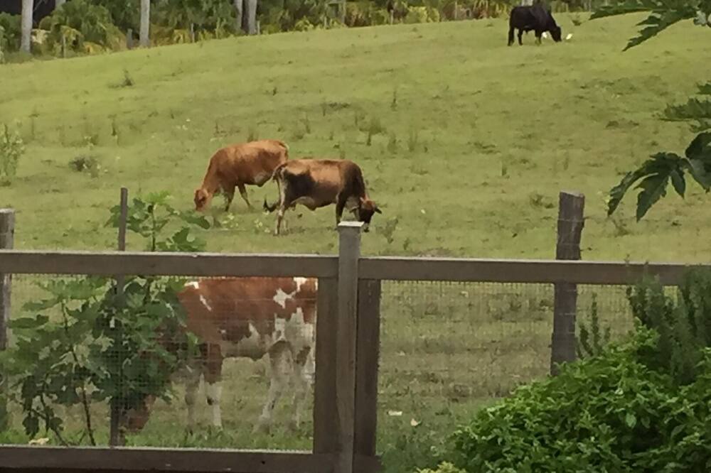 Photo of Outdoor in Ewingsdale