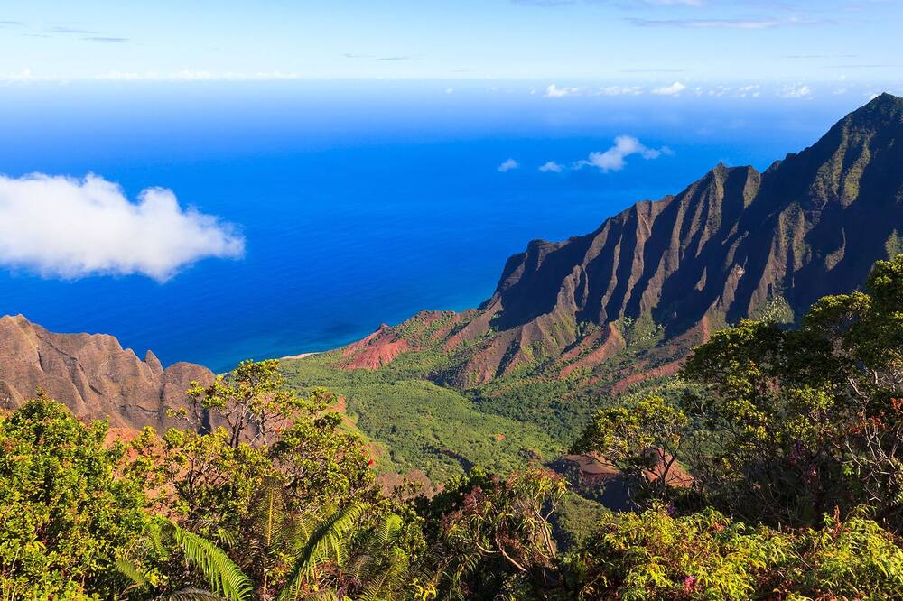 Photo of Others in Kaiulani