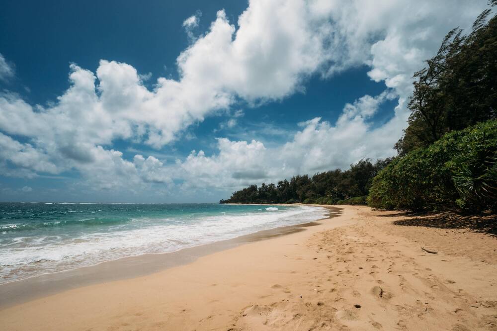 Photo of Others in Laie