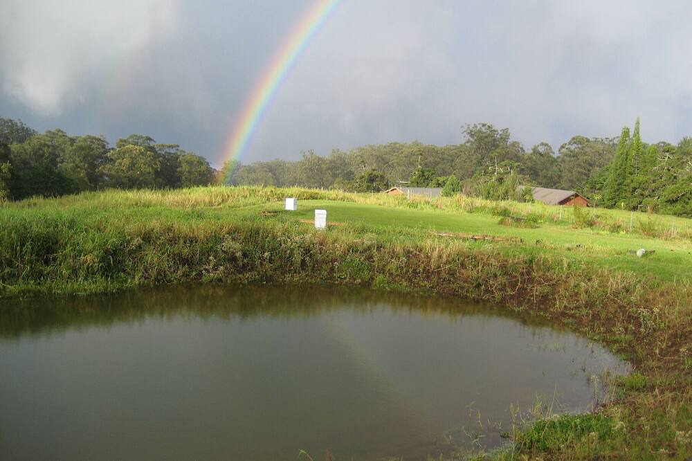 Photo of Others in Honokaa