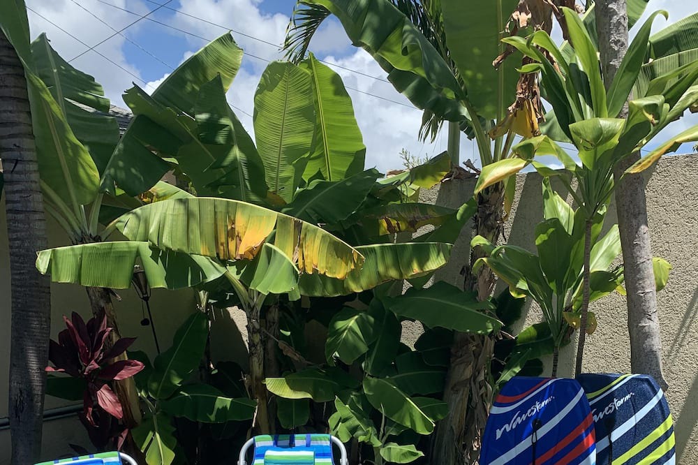 Photo of Outdoor in Coconut Grove