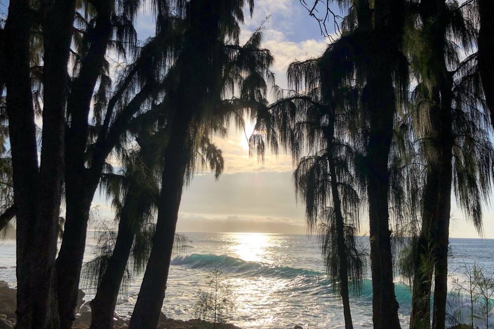 Photo of Others in Coconut Grove