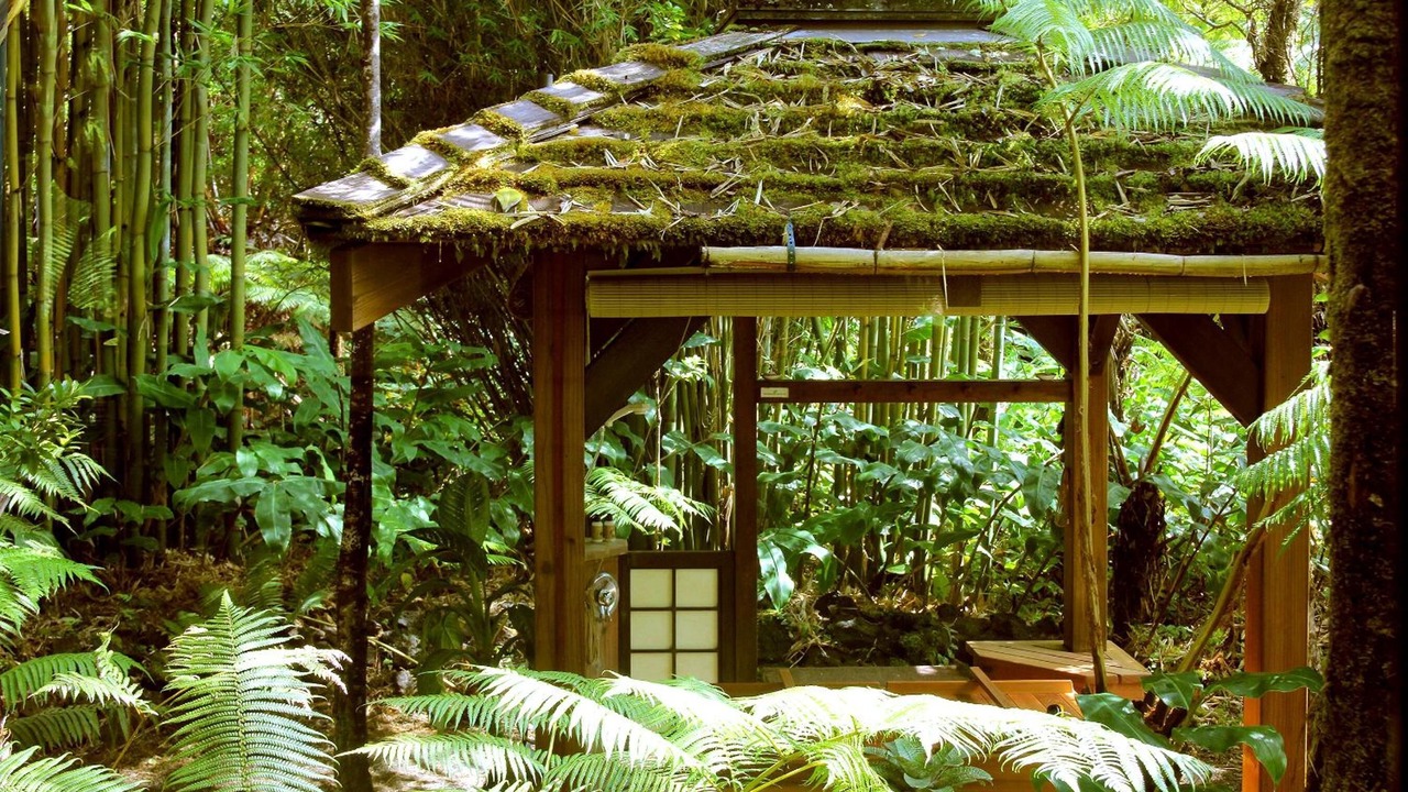 Photo of Outdoor in Volcano