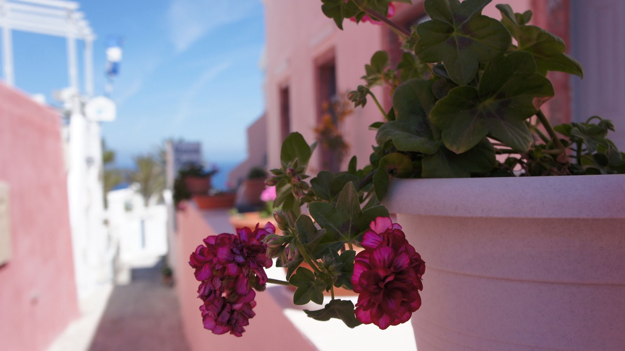 Photo of Outdoor in Oia