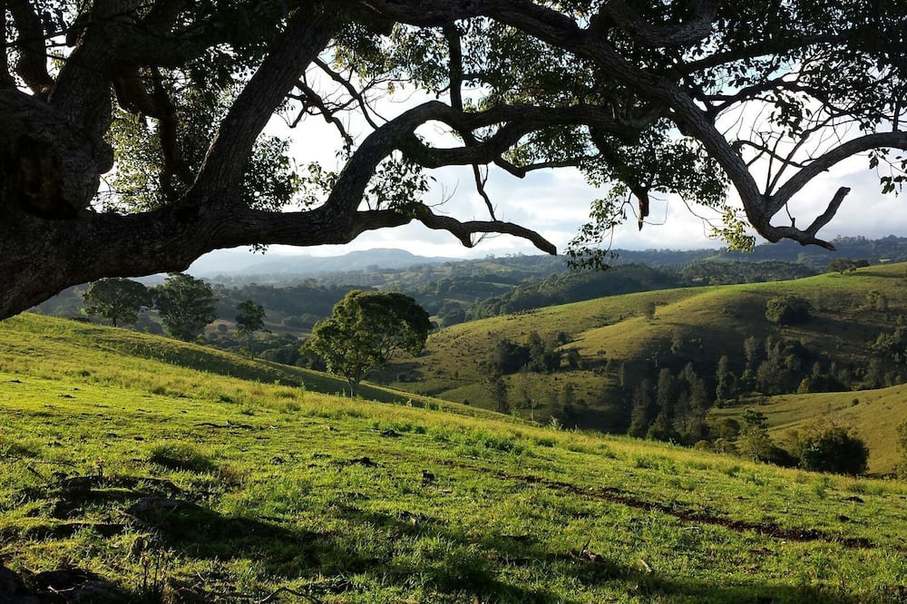 Photo of Outdoor in Eureka