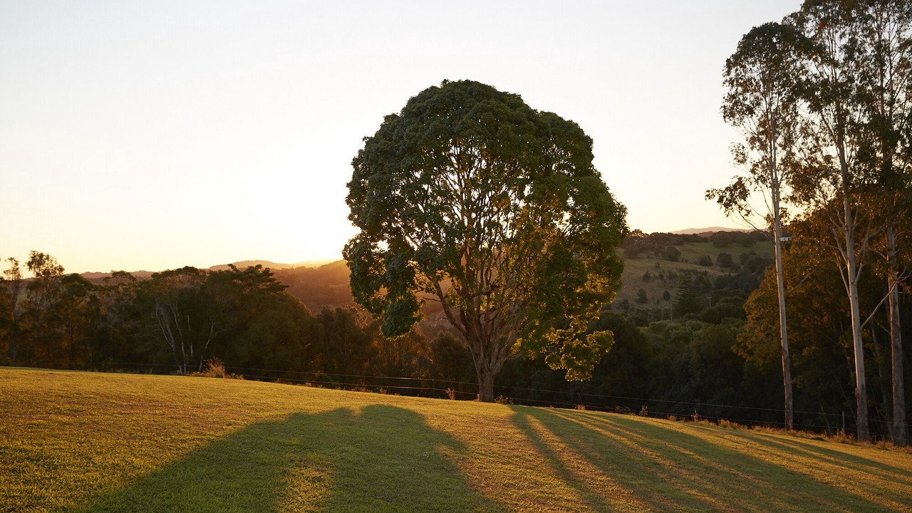 Photo of Outdoor in Bangalow