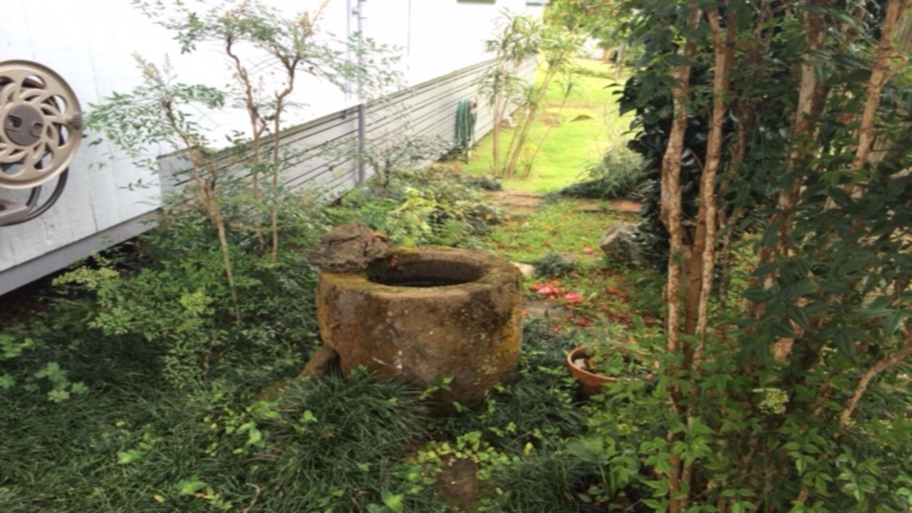 Photo of Outdoor in Waimea