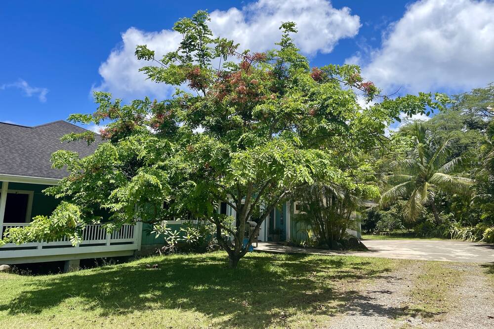 Photo of Outdoor in Pupukea