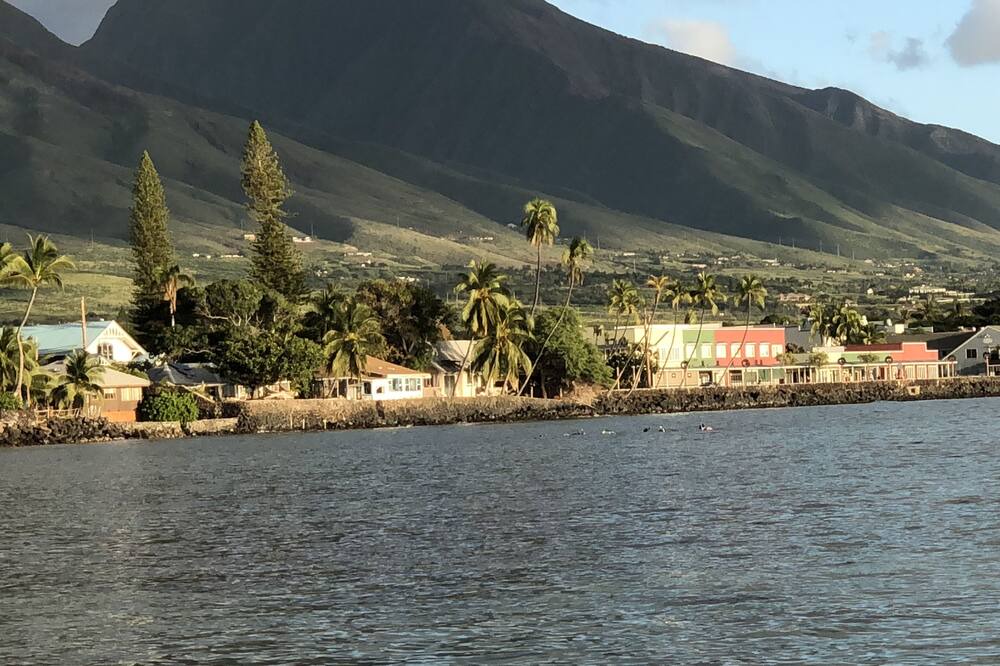 Photo of Others in Historic Lahaina Front Street