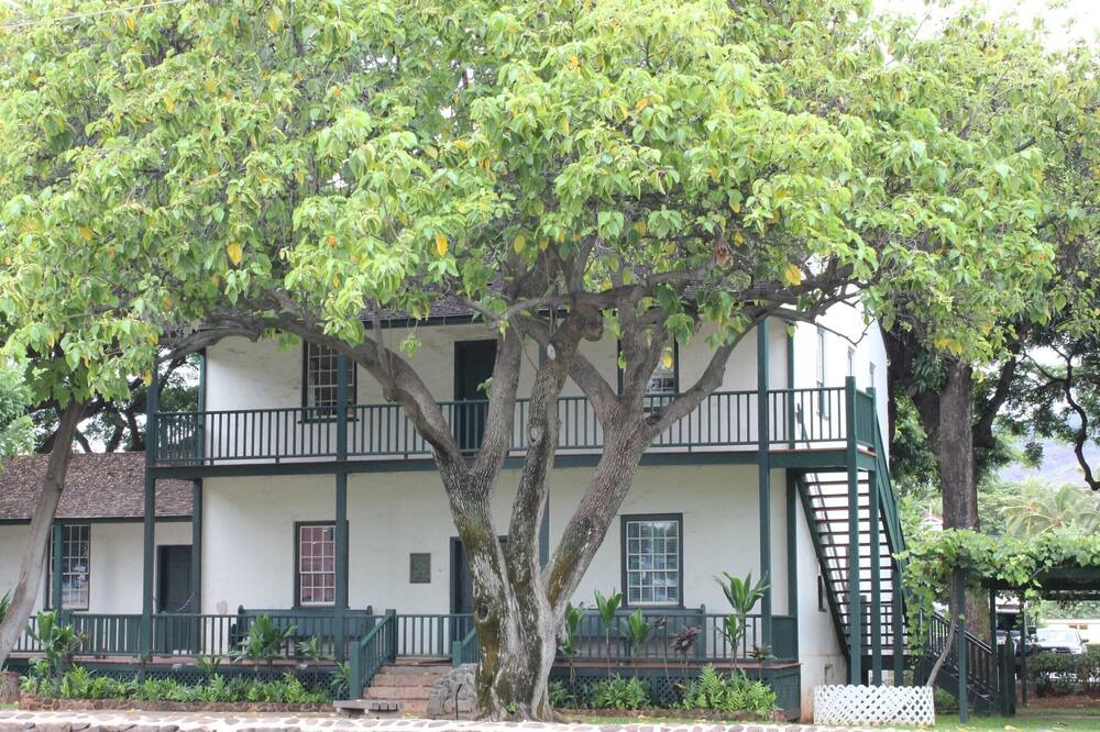 Photo of Others in Historic Lahaina Front Street