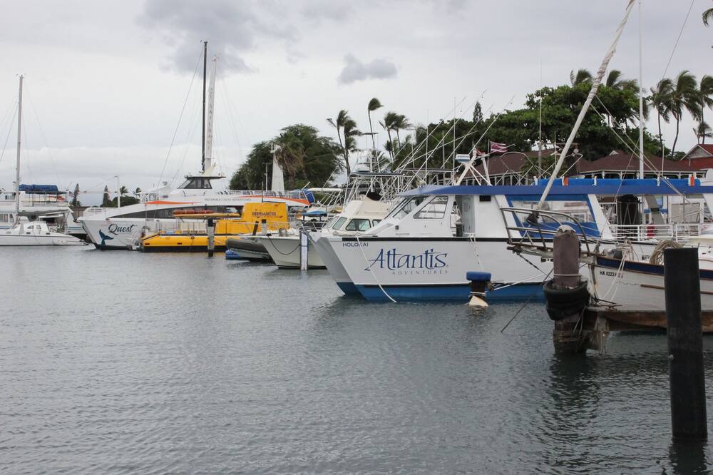 Photo of Others in Historic Lahaina Front Street
