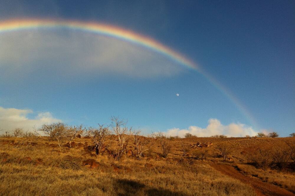 Photo of Others in Hawi