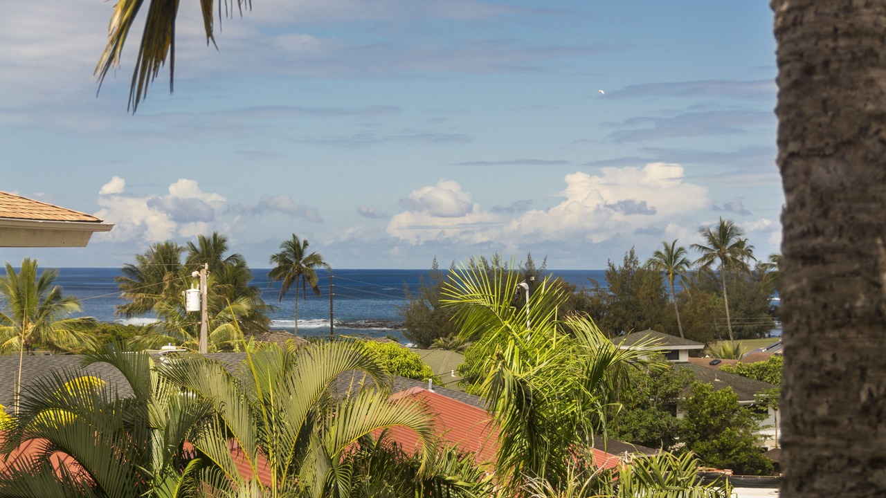 Photo of Others in Poipu